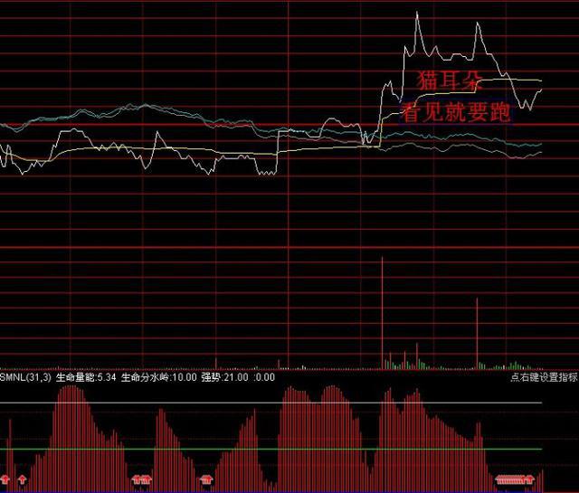 鸭脖官网登录