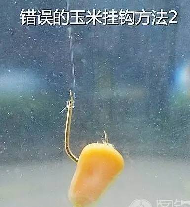 鸭脖官网登录