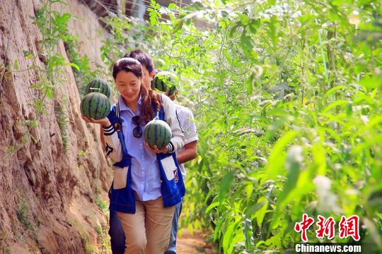 鸭脖官网登录