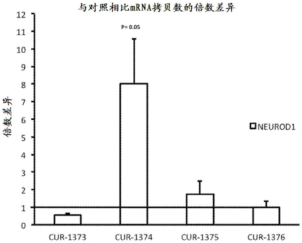 鸭脖官网登录